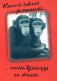 AFFE Tier Vintage Ansichtskarte Postkarte CPSM #PAN996.A - Scimmie