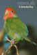 UCCELLO Animale Vintage Cartolina CPSM #PAN344.A - Birds