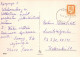 OISEAU Animaux Vintage Carte Postale CPSM #PAN240.A - Birds