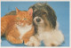 DOG AND CAT Animals Vintage Postcard CPSM #PAM036.A - Chiens