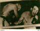 BOXE 12/1960 FULLMER CONTRE ROBINSON   FULLMER GARDE SON TITRE PHOTO PRESSE 18X13CM - Sports