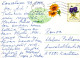FARFALLA Animale Vintage Cartolina CPSM #PBS457.A - Butterflies