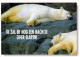GEBÄREN Tier Vintage Ansichtskarte Postkarte CPSM #PBS274.A - Bears