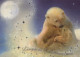 OURS Animaux Vintage Carte Postale CPSM #PBS218.A - Osos