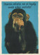 MONO Animales Vintage Tarjeta Postal CPSM #PBR985.A - Scimmie