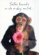 AFFE Tier Vintage Ansichtskarte Postkarte CPSM #PBS024.A - Monkeys