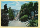 41. BLOIS - Du Haut De L'escalier Denis Papin / Perspective Vers Le Sud De La Ville (voir Scan Recto/verso) - Blois