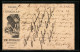 Vorläufer-Lithographie Neuchatel, 1887, Ph. Suchard, Fabrique De Chocolat, Schokoladenraspel, Reklame, Ganzsache  - Postkarten