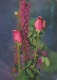 FLOWERS Vintage Postcard CPSM #PAS137.GB - Flowers