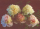 FLOWERS Vintage Postcard CPSM #PAR416.GB - Flores