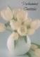 FLOWERS Vintage Postcard CPSM #PAR114.GB - Flores