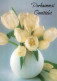 FLOWERS Vintage Postcard CPSM #PAR114.GB - Flores