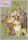 CAT KITTY Animals Vintage Postcard CPSM #PAM405.GB - Chats