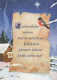 BIRD Animals Vintage Postcard CPSM #PAN035.GB - Oiseaux