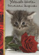 CAT KITTY Animals Vintage Postcard CPSM #PAM470.GB - Katten