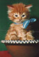 CAT KITTY Animals Vintage Postcard CPSM #PAM095.GB - Chats