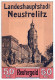 50 PFENNIG 1922 Stadt NEUSTRELITZ Mecklenburg-Strelitz UNC DEUTSCHLAND #PI778 - [11] Emissions Locales