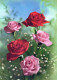 FLORES Vintage Tarjeta Postal CPSM #PAS621.ES - Fiori