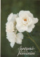 FLORES Vintage Tarjeta Postal CPSM #PAS018.ES - Bloemen