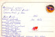 FLORES Vintage Tarjeta Postal CPSM #PAR897.ES - Fiori