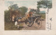 DONKEY Animals Vintage Antique Old CPA Postcard #PAA217.GB - Anes