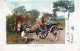 DONKEY Animals Vintage Antique Old CPA Postcard #PAA217.GB - Anes