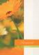 FLOWERS Vintage Postcard CPSM #PBZ544.GB - Bloemen