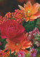 FLOWERS Vintage Postcard CPSM #PBZ664.GB - Fiori