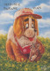 DOG Animals Vintage Postcard CPSM #PBQ695.GB - Chiens