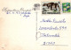 FLEURS Vintage Carte Postale CPSM #PAR898.FR - Fleurs