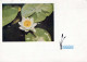 FLEURS Vintage Carte Postale CPSM #PAR718.FR - Flowers