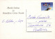 OISEAU Animaux Vintage Carte Postale CPSM #PAM848.FR - Birds