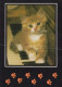 CHAT CHAT Animaux Vintage Carte Postale CPSM #PAM220.FR - Chats