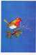 OISEAU Animaux Vintage Carte Postale CPSM #PAM662.FR - Birds