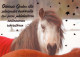 CABALLO Animales Vintage Tarjeta Postal CPSM #PBR935.ES - Horses