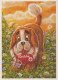 PERRO Animales Vintage Tarjeta Postal CPSM #PBQ696.ES - Chiens