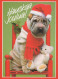 PERRO Animales Vintage Tarjeta Postal CPSM #PBQ627.ES - Chiens