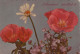 FLOWERS Vintage Ansichtskarte Postkarte CPSM #PAR661.DE - Fleurs