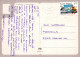 AFFE Tier Vintage Ansichtskarte Postkarte CPSM #PAN998.DE - Affen