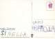 WEIHNACHTSMANN SANTA CLAUS WEIHNACHTSFERIEN Vintage Postkarte CPSM #PAK062.DE - Santa Claus