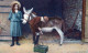 ÂNE Animaux Enfants Vintage Antique CPA Carte Postale #PAA219.FR - Donkeys