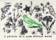 OISEAU Vintage Carte Postale CPSMPF #PKG961.FR - Vogels