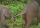 ÉLÉPHANT Animaux Vintage Carte Postale CPSM #PBS771.FR - Elefanti