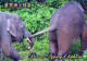 ÉLÉPHANT Animaux Vintage Carte Postale CPSM #PBS771.FR - Elefanten