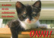 CHAT CHAT Animaux Vintage Carte Postale CPSM #PBQ760.FR - Cats