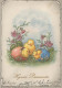 PÂQUES POULET ŒUF Vintage Carte Postale CPSM #PBO590.FR - Easter