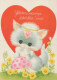 GATTO KITTY Animale Vintage Cartolina CPSM #PAM222.IT - Chats