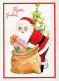 BABBO NATALE Natale Vintage Cartolina CPSM #PAK824.IT - Kerstman