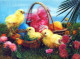 OSTERN HUHN EI FLOWERS LENTICULAR 3D Vintage Ansichtskarte Postkarte CPSM #PAZ010.DE - Easter