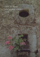 FLOWERS Vintage Ansichtskarte Postkarte CPSM #PBZ429.DE - Blumen